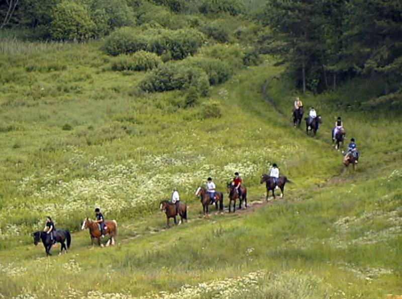 File:Timmo Tallide korraldatud ratsamatk Põlvamaal 1999.jpg